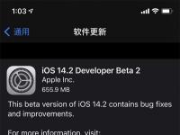 互聯(lián)網(wǎng)看點：iOS142開發(fā)者測試版Beta 2正式發(fā)布更新內(nèi)容都在這里