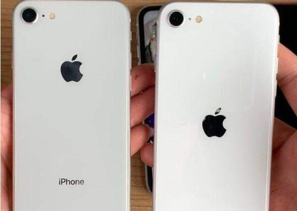 iPhone12上市舊款將降價(jià),iPhoneSE2和iPhone8/XR/11怎么選