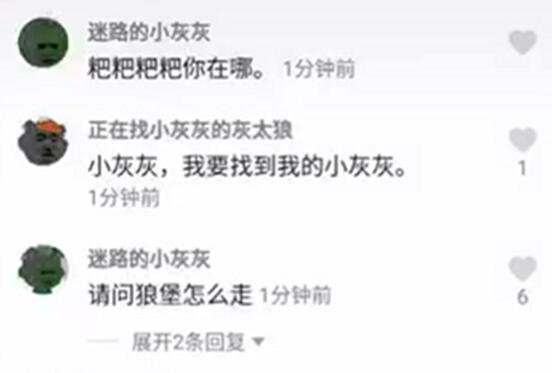 抖音迷路的小灰灰是什么梗和意思 為什么改名叫迷路的小灰灰