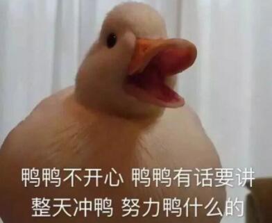 duck不必是什么梗啥意思 duck不必怎么來的出處