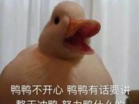 互聯(lián)網(wǎng)要聞：duck不必是什么梗啥意思 duck不必怎么來的出處