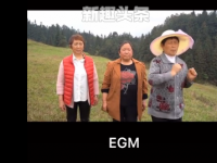 互聯(lián)網(wǎng)要聞：抖音EG埃蒙是什么意思什么梗 EG埃蒙來源出處介紹