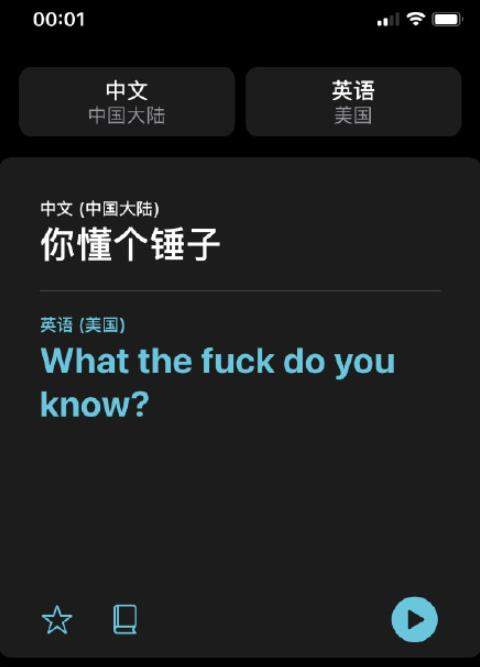 iOS14的翻譯太懂了!網(wǎng)絡(luò)流行語(yǔ)也能識(shí)別!