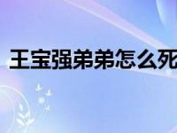 王寶強弟弟怎么死的 弟妹車禍身亡細(xì)節(jié)遭扒