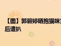 【圖】郭碧婷曬抱貓咪賞櫻花照 曝女神素顏鼻孔好大整容前后遭扒