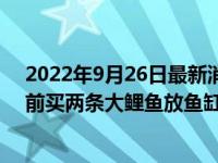 2022年9月26日最新消息速報 女子擔(dān)心自家小區(qū)被封控提前買兩條大鯉魚放魚缸 結(jié)局讓人笑噴