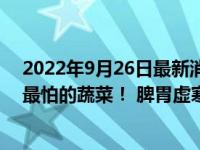 2022年9月26日最新消息速報 苦瓜可以潤腸通便也是脂肪最怕的蔬菜！ 脾胃虛寒的人可以吃嗎