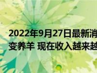 2022年9月27日最新消息速報 禁野2年后的華農(nóng)兄弟：主業(yè)變養(yǎng)羊 現(xiàn)在收入越來越高