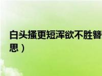 白頭搔更短渾欲不勝簪解釋（白頭搔更短渾欲不勝簪什么意思）