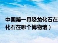 中國第一具恐龍化石在哪個(gè)國家的博物館（中國第一具恐龍化石在哪個(gè)博物館）