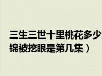 三生三世十里桃花多少集挖素錦眼睛（三生三世十里桃花素錦被挖眼是第幾集）