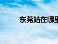 東莞站在哪里?。|莞站在哪里）