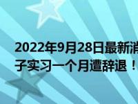 2022年9月28日最新消息速報 工資9000竟不會用word 男子實習一個月遭辭退！