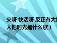 來呀 快活呀 反正有大把時光是什么歌（來呀快活呀反正有大把時光是什么歌）