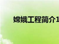 嫦娥工程簡(jiǎn)介100字（嫦娥工程簡(jiǎn)介）