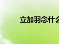 立加羽念什么字（立加羽念什么）