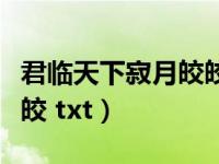 君臨天下寂月皎皎有聲小說（君臨天下寂月皎皎 txt）