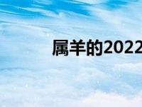 屬羊的2022年的運(yùn)勢(shì)（屬羊的）