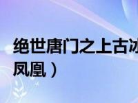 絕世唐門之上古冰龍武魂（絕世唐門之上古冰鳳凰）