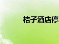 桔子酒店停車(chē)場(chǎng)視頻（桔子酒）