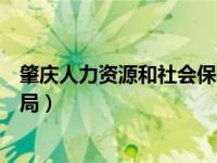 肇慶人力資源和社會保障局局長（肇慶人力資源和社會保障局）