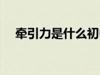 牽引力是什么初中物理（牽引力是什么）