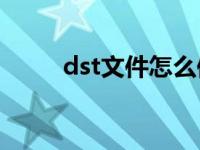 dst文件怎么保存到u盤(pán)（dstwo）