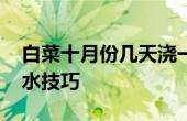 白菜十月份幾天澆一次水合適 十月份白菜澆水技巧