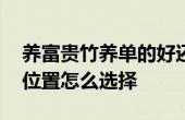 養(yǎng)富貴竹養(yǎng)單的好還是雙的好 富貴竹擺放的位置怎么選擇