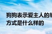 狗狗表示愛(ài)主人的舉動(dòng)有哪些 狗狗愛(ài)主人的方式是什么樣的